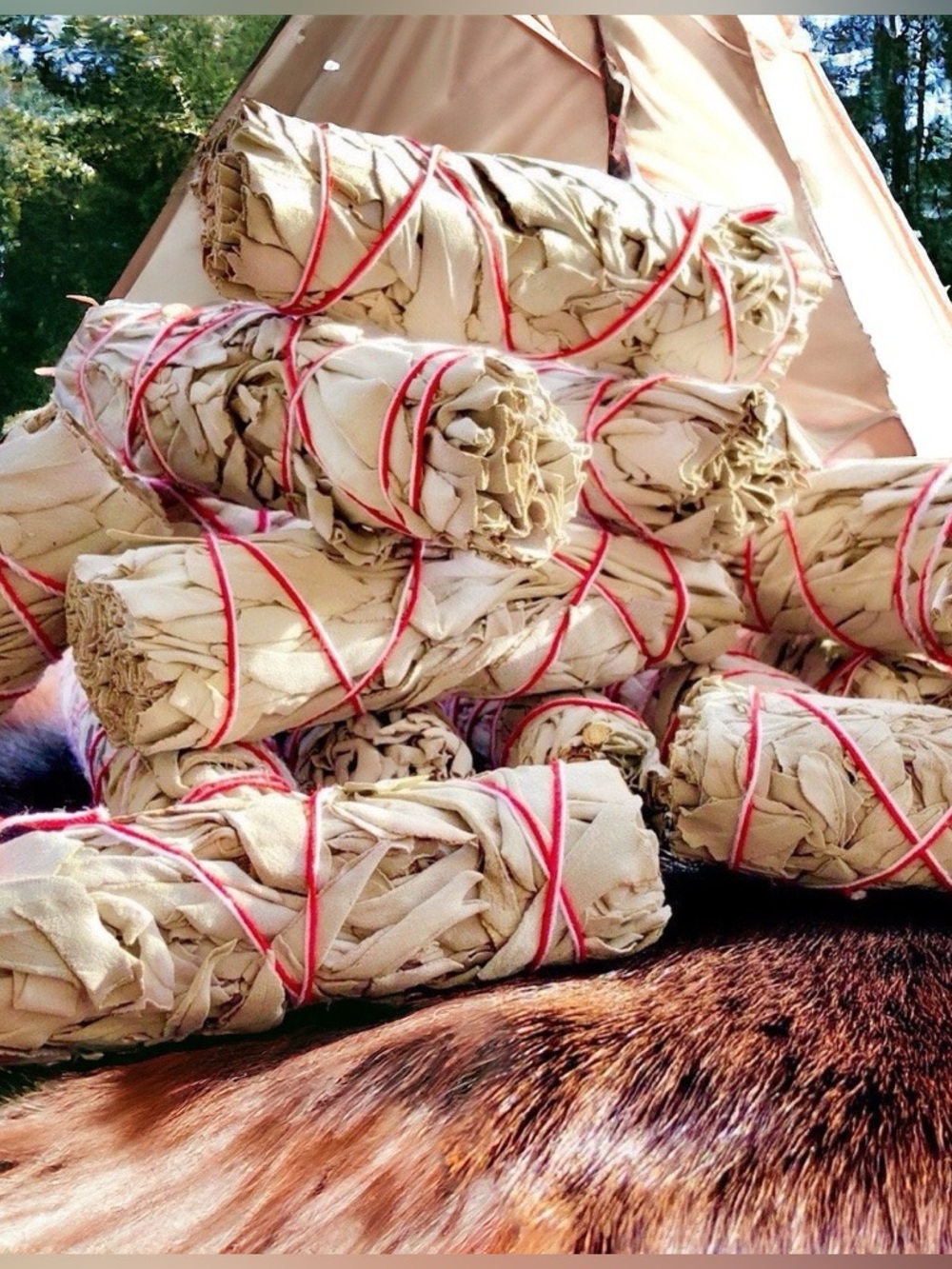 Organic White Sage Bundle 3 Native American Smudge Stick Sage Wand Cleansing